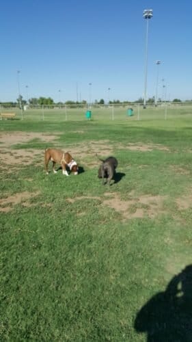 AC9h4nqSZTTglgkr2YRyOvTgYt8Ovbn4wNOL2lAR4t89 PQhQjBxkJiKcD0Je7YaR9J9Bb0hLP9PfkgVv afJnrc Lo0izG8SWTFdow9vKTh40waitlsd6E5 2tqO8oHXrZybdyqfG9Gw1600 h1000 k no