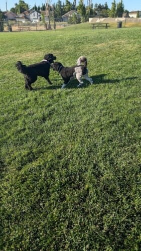 AC9h4nqT K6D7T0 41HvGbPMFhINmDRUvXAW1oC07zNdBo4m3L1cusxeQmjFUgNdw lkroUuCqE06s8UrKV5iXA9pnAwwNNpRJZOc8y5QyMw1600 h1000 k no