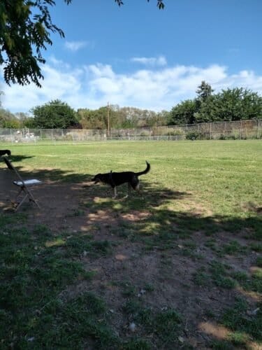 AC9h4nqT0Vmd5LWj17rBRc38RFZjTrqIeMjZjTnvFFZvp0FaVvLoFN STztW0bm1 s8G l9UGGc2QI0L8K5jeJ54 g4g3XktQ6iREnSYnptGyYkJ5VFtd1ONfuNIz0Snt8RFSFQnH3jmBAw1600 h1000 k no