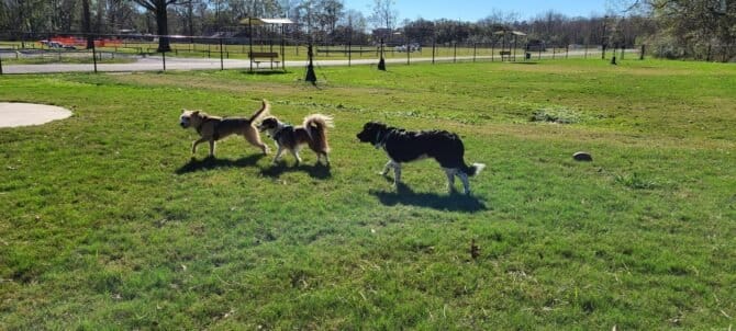 AC9h4nqT1iLd1lSGkR6XLqEGqUvG5ghDYz Dg 8IS6JsfuxfoFL7DAjFOIRCh3QCmiLVl2SdK75fmshAOfjB8VuKD1GcVbRELWc 9CBNV rrVf8A6DJOFbBiZWzDOed1WsM9WCY4Xf24w1600 h1000 k no