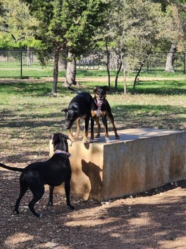 AC9h4nqTG6s5DUmMZFLSLmsT9eu47D32siTal0HtMtog 5VHQMggoNNi7CaAFnuRpSaI3GmoqH9 DKgDWpW rpZ0D5mlHVnIQOw9w0d3UVVI bF36G3QX3Xmvy Eh0i21hWYM1a89Sw1600 h1000 k no