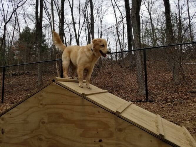 AC9h4nqThqa pCE4TNyMoE7bTDjTbeBX8nOfzsuQOC6PiXXNCNCxFkXLxxyg1ORkpKbzDlbWWA3SUR5duvOmZ1EZFq Nyt6NY UoGh6IKXPKoyJlV JkoOCmZ788hsjpn4KFC6FlHNF72gw1600 h1000 k no