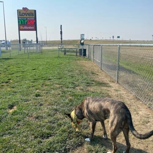 AC9h4nqTmbH4NCfC1M0 3SJa1D2GiEuxrDyv727CqV3kT1f5 Y8UiWmZYU0jRegxm4v5D97n2hE2Jrq5keZR6Nurk3IHyT1LBG6VFr8Oi  17vErbFe4dPUnmh7 hbKRU2mHuWbcZj8l2Qw1600 h1000 k no