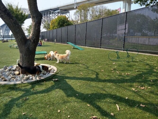 AC9h4nqTn1d6Bc XSw6 GPOwgQQvgY1iieTCVVJ6gq n8ksx sIIOviDtum3k5Tuhnx4O5HqpG93PFTiAd6gScDSzdXQjdflWwkMB nDp71F2skxW014pWZghVK2tkEG50SPZHzKMcMsw1600 h1000 k no