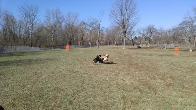 AC9h4nqTr4QED5vFMp1YgikYVVfHh4ZNnESm7 xds7zxEhqzjGoIdhx vGLnvHlNpQVE8SeyaSfMPoh7 THv0Nw96TMSFKcj4X23nKa470UirG6IwTmSu0wQbVjDFrD5n uOOFi4GyqSw1600 h1000 k no