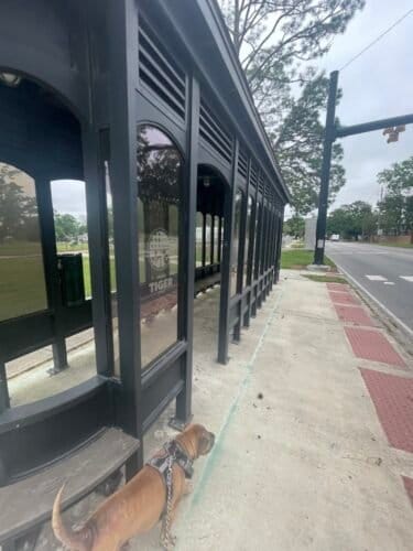 AC9h4nqTujm2niUfd5KkYOMNaCN carHfG666kmWhFQka6m MQ3oi4wKoHIxl4tjW5vsTi17gc StwOWuVzakq 7LAshDlLt3K6OmU86ckHSXtX8Qjf9pQtvuwdm1Sh2nfvqbbxwXgw1600 h1000 k no