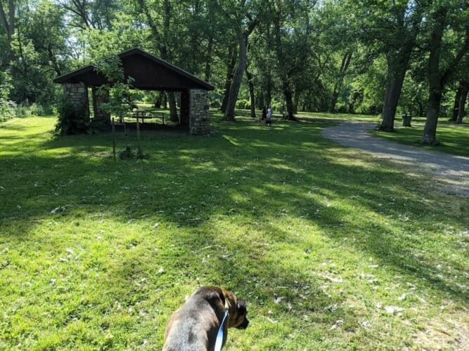 AC9h4nqTvi0pUZBbxwE2jAOFGdtNaqs r5Wi rnRIgJKWwAqrubeW3DSp 89Y7Mdz8eJ0xWIxb9q0SiaWxgDo26Vb FOUaq9u5C0QKe0GoXZZWweXByBMs8us5Bu5x0P9HLe8DA69Gsw1600 h1000 k no