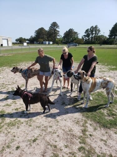 AC9h4nqU3trEItxSfuBj88X27ORlfN4veF0WF8K6OPgatPL9fmdzXJo53 CpJW7QQQRRQlHzj 2 gpt7L9EpPJnzwQVdCH 3hV eLxKF7TIrBjJNjkRV OlJGpZKtXXIMIO9tpXbPdD3w1600 h1000 k no