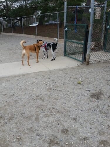 AC9h4nqU7VjNWdssHtJqpdyJCzIbMC0XGz8j5GT0UBn11d8QYqAOozVIcbGwv0bVY tQPZRl5dC41HscmjSVuh9 OQexlCQ XVvqNRkoFHwuXB1E dVkRo 2MMgSo6stMi60FItJiXsOw1600 h1000 k no