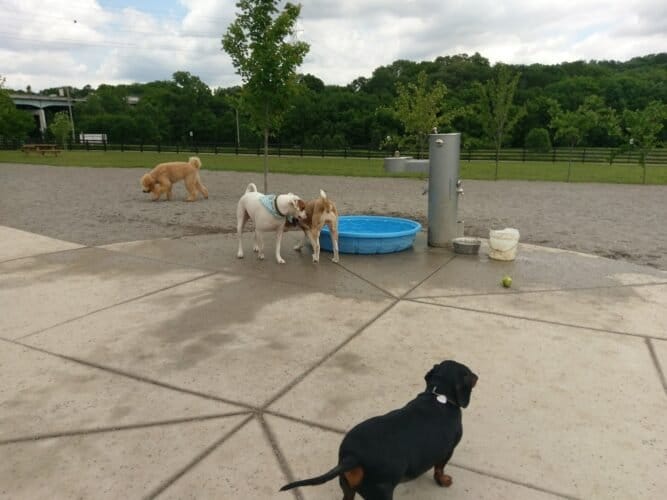 AC9h4nqUH7utltUX2o74dZQGgCpJqiHLeFRy4XjAJK AD9iJm35uEMNl8JOT3tRxIKis2sEuCUF U6ZPbNQn L nL9uJYCH zqBdX6dIYiP313Aexe9m1572FnfLhcdhfUryIDR9 Mww1600 h1000 k no