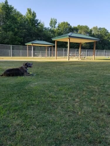 AC9h4nqUHeNfvvt4YqpY957uxjbDNxQnF AdLTq05pnF8dB5TqReJ4xxRCABwwbiz9uBNS9JzXIOFyE9IrdrZID uyieisSharuOCry8YrmydloynLzPCQee6Y QpQg5Pa8JzM6500mCw1600 h1000 k no