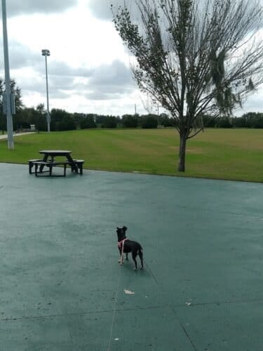 AC9h4nqUIsRjWr6aAnWt9ck1mwNF2qsuptIXejykI5w4KWrmf6VF9ticmEWei45uV4q0hoJyExz8Z gzZ 6bswkOLgyOlgNKkrMcvTxBw1600 h1000 k no