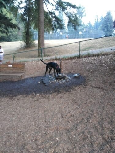 AC9h4nqUM HWDvy irElNydu2m2j 7hz5 oIYV6WpfzdRrP5BBvyNRSC8e61NiZUES5IlmePAb1tm QljWKhkr7rl7UzS1XboRTWWsANR4hwlFKOIq3VO4rdrScWK4S6q0jHl6aI6Xftw1600 h1000 k no