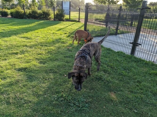 AC9h4nqUPeh8miXGKq1ZzrcK1LjZq2hY2NsJoIvRPXlT1L7vvQO0cySfMfThoPwWcEpDGiG7VPk9ZVO5BjDGegg0YfxRUX9UcO9TjnnrZQw1600 h1000 k no