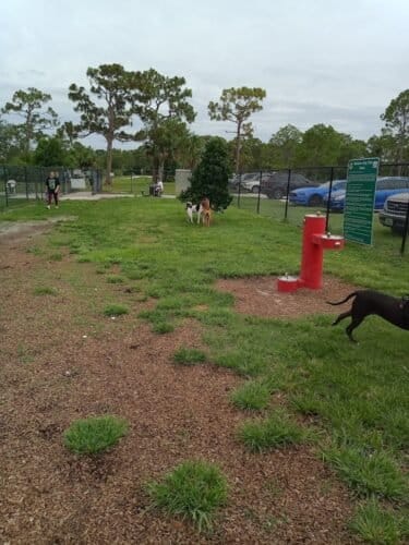 AC9h4nqUQBtEaetDNYmqdn aCKhtkJ06FLkbN h4Vt40pUXXnOvrpr4gYB3UiwDa5Q pJqQT0MrRnJlmDcODdvLzWnMveKm7aUuQCzASi5u9c1JvbjpL8T24Rm4QFSV D9Z0j4UMYLddw1600 h1000 k no