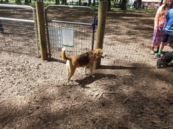 AC9h4nqUQCikBB2wlTIsjH46D4IgE3SSx0ETON6fRk835p7EZ8jw4GiKIPfITYxax dNqi9szA07SjfWIa1deDAlCL3ZmfTwMQo 1sfCLww1600 h1000 k no