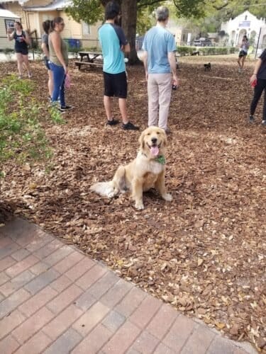 AC9h4nqUReod2cIrAVMVZ lcD Zf2b7 Rmd7sPcxvsvJ7BU0di4ZQCiXJIxGanSn7tTVzD7o9gbSiw1yGKUEl89CrdfESwhBK7PLJKNosz4QyXMQXFgBivm7irTy4hWmgWv44OdgNIH8w1600 h1000 k no