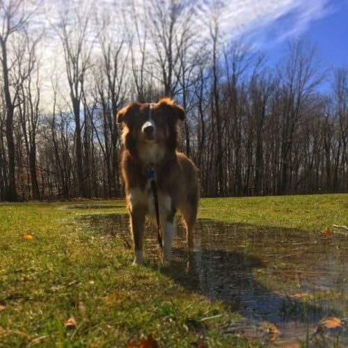 AC9h4nqUgJF66SYdZUbRgPq81d35uTyh0jVL t7Qrd3jo8lq9w11ZXn0b3jvZ4vIfFmZZSBCockWNqHo2 8PFhAIfcrNwXjiPmMqFraiqn8hm I4HF6MqHbObao2qy0jFv PJyI3Gom9w1600 h1000 k no