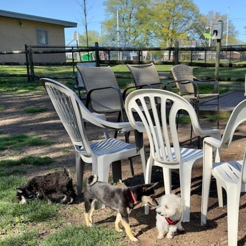 AC9h4nqUjgIP2dXru9 n00Ka0iYclOzkY2WrEa0ZXNXbTglVoEzjB9 Z mmjZMwv EY24xsdtNQBSp4T7rQHUxZpCnpKfLc7iX3kzbAD3nc9xhidQdhrUDtgSzjbJQ2KP 2g6Kd5rST0CQw1600 h1000 k no