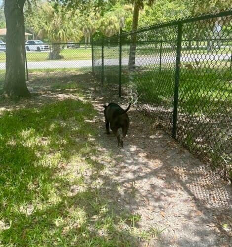 AC9h4nqUkVpUp0PGiNSIfvjbl9y7lO8kO5kBhIgRXlrfxLxLUi7N21I ci9aBTQX6vvLtmSkEv3opkmSjlR3smbk68piY2dGOiLICGDJSObetxc8FNfcG3DThuwdx0tEyAWGC 9tU2NoLQw1600 h1000 k no