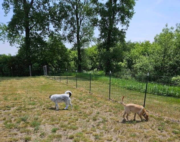 AC9h4nqUkYZl 2sgrUkD DBzDB1LNxZNmIZwPNTclXvJ3RUQrU 5D0jP6KJo2awE5Kc2Qtxe2HI48sm6BNa2tl6Pq9uKrR9r3iSqtIFwOCVDU6z8rxbGiKGsUDi8mSHdW4 jT GUnqQVOQw1600 h1000 k no