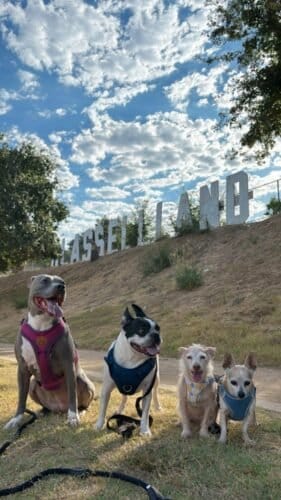 AC9h4nqUpgEvPedDEIHgGuiWGthRTm CN EvsQIPEFQjx1NCAnGKA2bitgojK rLjRO34TO1d2d1PthaP6n WYlkppUqOpxNasGbMr83tkr4XzpOLkuCmD8Xde0dy3xRc9D5PWchNomdw1600 h1000 k no