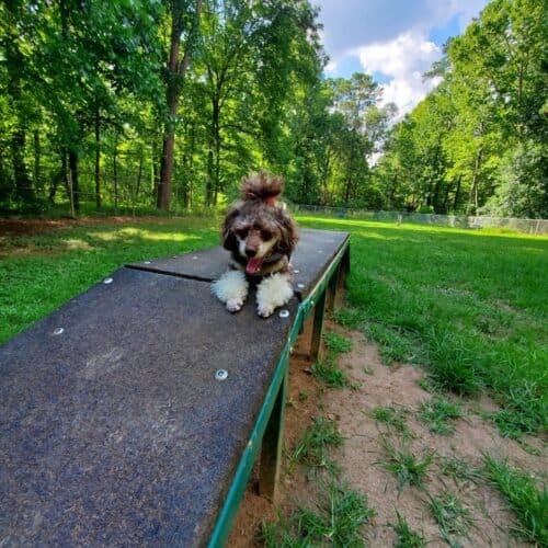 AC9h4nqUpviMKMFT 4Nr05MdD8fJR96ut75yMIDsB9ZJDRs3lrXV PLAFYLZDm3zGyFRCq6vsi OSeYGBW 5HsNx0maoEQxO2c3DXozmQncTxVJcLYIJCNkoiL Ez0mntKPAjN0BRuww1600 h1000 k no