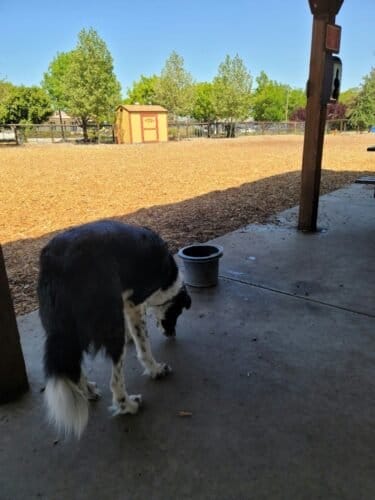 AC9h4nqUsQZwXUYk5 HqQiTtIM2 C DEOzbggdvTc0fJnWEUHO9bshgr kZuQJjJUiDP68qZozxFSVAnvxKeRciD bnsTH1mKl YOTMoYkMLPpRYoh0zTry0V7MWjAGYr65L0 PKPoV9bww1600 h1000 k no