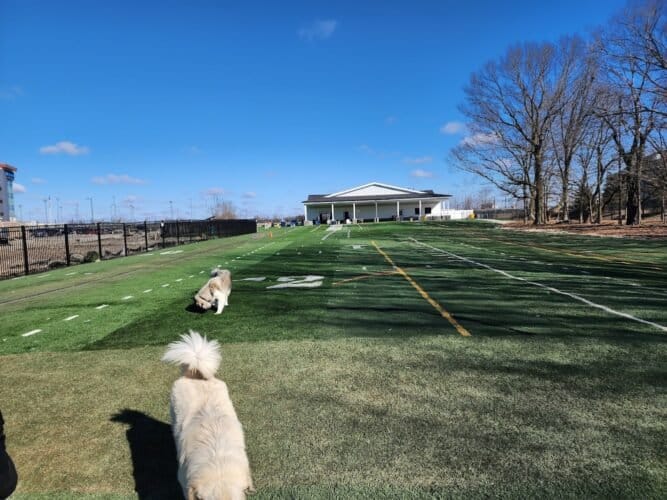 AC9h4nqV3ruewu 9H7llSVeIasA3WSUgVMXBms3 pbpcySTBFiJLXoA0 qjzTXI2f O14Wvhuad9MiHRVM9ksacq1Y3WtgQx0NGPn7womyEMuyi2Olho6U1m00pNvUvycvUL2 PiqsK7w1600 h1000 k no