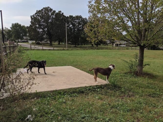 AC9h4nqVCITuJ9BD3h9zcZ60gKLizGPUuEkf UWIeO0c61XN0e6PfmpJTCJaZfti3BGgDg7rG6KslYycoVCaYt9i8Qs5dKyhijvC9m66rYORR16 sdmFcIlok6D0g8AC4ujWKWHcQIFrw1600 h1000 k no