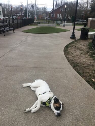 AC9h4nqVHjclhRuGpP6A2Z88byPjIeNNTiXWxXeF5lY1gutad3LSP54Z4iCN9 nUchb O0i 3O uP 8IqC57 lfBDE UT hygzRoyrFub08ITAT1JAW8mJFT3GLG8M7EgoGE387DUsw1600 h1000 k no