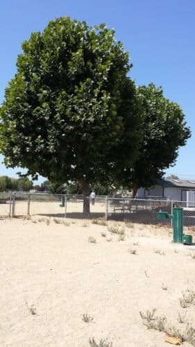 AC9h4nqVJhHiI0hCQ2J ereUdKjI5IaVP uZEVuTtKS7KS09df3HVw7T5npBkL1cLfiMe5xIAtkRdfMobO6usWZIdO7Iaui3ntuIaaXExE IHUINlGMtuWdgSZr65ixLOaHSKJ2RR16yw1600 h1000 k no