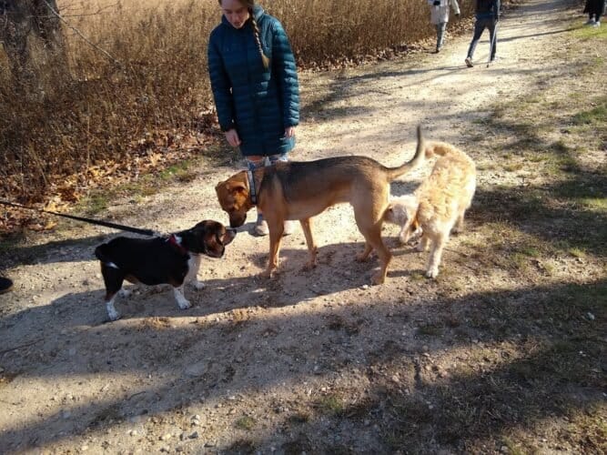 AC9h4nqVc4zUs24ZBBi2AmzX660ePq6MhpY EQ0HJ63ClvqMNbjaOZBBCbbOHA5T4aqkag6LnZtIRSV JSBFwkMmn bSB5nBfMujliLd1LVDrmpEXHDYSFoD8OaYJjIOasxrt K5EfR3w1600 h1000 k no