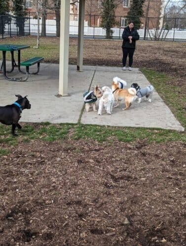 AC9h4nqVe3hvSbdfKn dAwHYgVx785XviRhNulJmWafMwdKCWRAbXkDVYnACnCpgKeSMl8hSTj9fgW85JUCOlyHM90YQRV7S03fBxtE6iaUw1600 h1000 k no