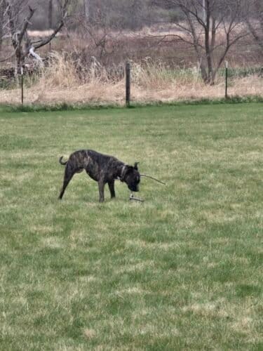 AC9h4nqViKltCFqfccMbjKIW4tBuC 3EVYFybcBlhzuzXXwJc2W0 aRHt72Xgx2RXUShLsNMSr UmS9M23o4eL7Ez7mYQBEv1GtpGLLpo6gC0OTg801eqmODt  oja28D4vWiZRE7hAnw1600 h1000 k no