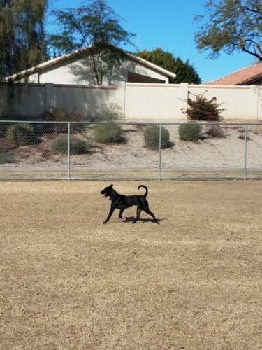 AC9h4nqVrflkFEK97yC5pho4mhaHf4qobB8ZS7vSs9Hbas64rTNV uvy0Cw4lvNP3Fq BEmOMuJBMs74ulNwMxZzevKwy1b0ZOIaAOAm6XbsV7rufCrMAo7VWAAHXAF5XnpGGUF3jMjfw1600 h1000 k no