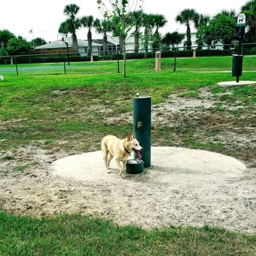 AC9h4nqVsTKfKfogfY9 sHrc7MecuphpPJwsg0AlHblv8gp6GhSOxV9IzvrGWFrjnLBDhgL JNGpEzsIKtzwZOMS0lGI9alBjgzKQ0d34zONWEry0AqT7Ngfr0SeFIvnllpvaZQHtuKqDAw1600 h1000 k no