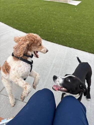 AC9h4nqW4lRHMKzB7ckVoIJeIl1gZMGf8AcMSiL frTPg8v0nHzz I7CZ8LUSbANpry5YiP2G9diNeBCOJywcGZrz7URM6T2DfNe7eRL6Du3mfpInrx5vg3ZPmlVZYt3OVu73qaOhISobww1600 h1000 k no