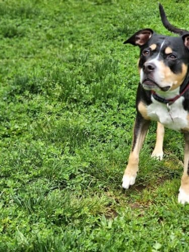 AC9h4nqW6CPbdbE21WjZ6ttknSRclOndsYROooIlL WRE4y2Rn91Df5H2SuX5 ViXH1npX2X3zbPoHEwXVL8uXD DOV3NH6vg0yHkWFWIjcw1600 h1000 k no