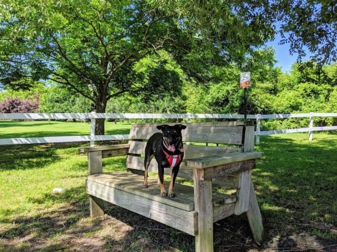 AC9h4nqWBYyFzRdsSJzrsGKgeqbnfR3KQyzqrPodvJOGElRjmcDnI gY6mRw077Z5U96GSKChMeFDT1 j38 tImsU7sCO8AvPd0pFIPCESJ DLiL4yWuuFjsrLvgBlXOfFjqWJdaODMgVAw1600 h1000 k no