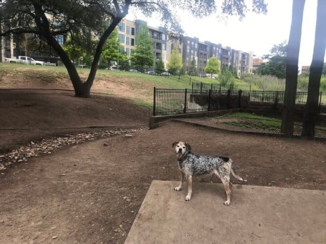 AC9h4nqWBkvwzwvN7 lkmULLDvliLzRoapK3K im88plibvVePBUpL 15BWfg3oGMPMOSihwe9ETDtMH1qQ9o1tmiMimCy6BsAWsG8eNy9ooXah5G hJhvwIc8R2riLRQv cgAF9 5Aw1600 h1000 k no