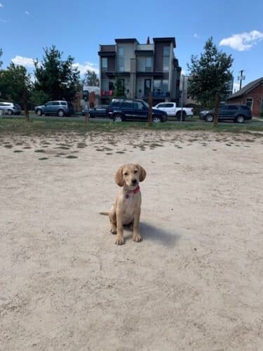 AC9h4nqWHFWWTxcjN1 aj8zWCy4HQgdmEGi6P phi2GhgTIrdib1bwAftK HJgbXgPWzMl y5k uvWG0P05ptWpv0CZ7IAKh8 VJ5vYmNAw1600 h1000 k no