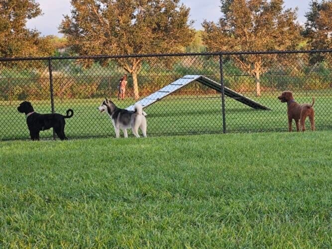 AC9h4nqWTxI9ilhAjyGJpkPPFphIEPbB6I8HXNzsngNOinrr80XLcG47SY3Lfcp49qvIyOWsjedTe8DQpUeZb6Ol2XKdSeP doGoZantl0Dd7JNjz3ScO NASJ2e FmLiDMmxWojZyMZw1600 h1000 k no