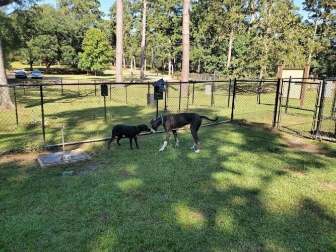 AC9h4nqWrmgWo4BVeMQoO3VTo4 i fBMV3wRYprrlgPRQgYmidlu9wGA9nrZM9QVOutQKI0SkAzZqch6kgstQ9UfU0Y yLOzyREcuph9ZVAijQhlXHTazqj4hBR HFzskzG6YGhzFeYnw1600 h1000 k no