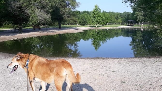 AC9h4nqWuwTvUpq91lEho6VL8TwlxwFc47R8rx6GcOUYuZXSrBv O0Xqj6ofu2E7zrHdV69sSR5Znkv FVus5NUR8b6Za22xO7fWALaatEzOxhxmNaOoimpW 0RKRlHPC0zkTeZam G2w1600 h1000 k no