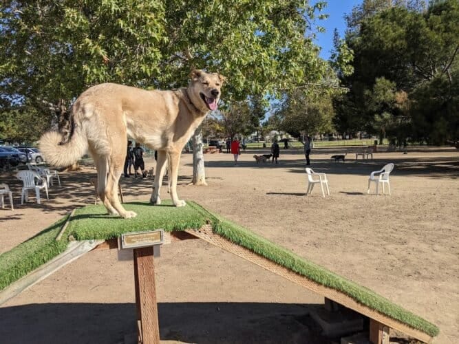 AC9h4nqX7515A48FsUbN7hj9W7Ola5F0OYNmxhfRRTEuQIxO3mE6tZAtTjD13nZrz5tZVFQNJlX qy7 8vkTUl djm5BenMX9jQRQdDIRxwnv1n5krB2C0EvkURDuMZz5QIjMDrl3MYw1600 h1000 k no