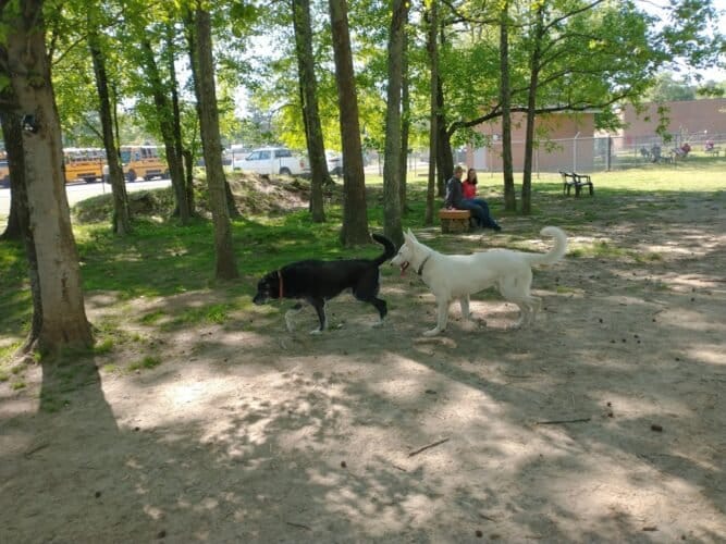 AC9h4nqX7OD4vw6pd1QmrGvxBR63KlsaRiCzDn6Cd1HCLii5FWvVigoZsbFzaHyah0EHHl Qa 3yWk4hRTfNQTTP63p9wPCI2n6kxQpZU1muSyaIRdgplcyWFJendGODdJieeCexkpilw1600 h1000 k no