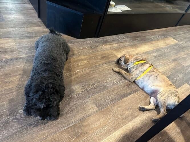 AC9h4nqX807UEqULirs6TXWy1dm8TZnEk5v2r6KwbgFG azrHDrqoqDPUVEDdqvJNieOznEkgGgV9RNm52dtNGqr XI UTX SlGN A98vWJYTsnA7AY2IfGJVQOuk GKZ4b IYebHhIGWgw1600 h1000 k no