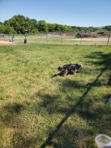 AC9h4nqXCKbWcGSDTLtALst X8rvOYDVW3PzrTwWY5K44m6qm5qXDtpLRq nzeTn2VHtYNyy6jL6ZoxS9mL7M 1bLRD6gKyxYewF9KYh4VI63sxItHdsMYAobqeEc18EkJnPFCwqcQKDhAw1600 h1000 k no