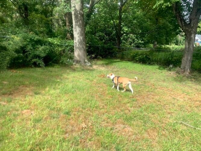 AC9h4nqXOV6SlsPk6hSTfIcRPzcxF2VFruGY lVpr9gB2kQ2Fl018w5msQc yjnf8MWR gmpoBZiknZWyjVEOe4wVztEffVrm9r5CS5cf4v mV9jW6SnUMEmE6KnGf8X3WVJr1yJwaEw1600 h1000 k no